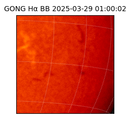 gong - 2025-03-29T01:00:02