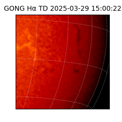 gong - 2025-03-29T15:00:22
