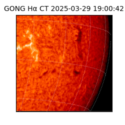 gong - 2025-03-29T19:00:42