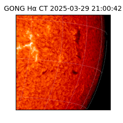 gong - 2025-03-29T21:00:42