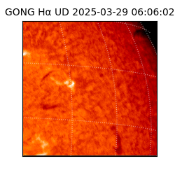gong - 2025-03-29T06:06:02