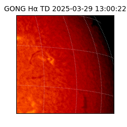 gong - 2025-03-29T13:00:22