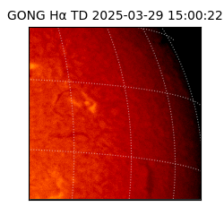 gong - 2025-03-29T15:00:22