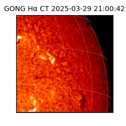 gong - 2025-03-29T21:00:42