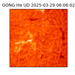 gong - 2025-03-29T06:06:02