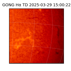gong - 2025-03-29T15:00:22