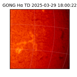 gong - 2025-03-29T18:00:22