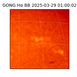 gong - 2025-03-29T01:00:02