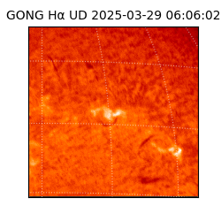 gong - 2025-03-29T06:06:02