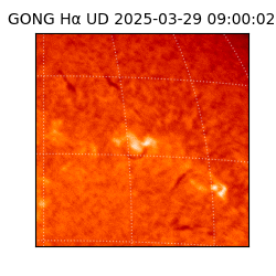 gong - 2025-03-29T09:00:02