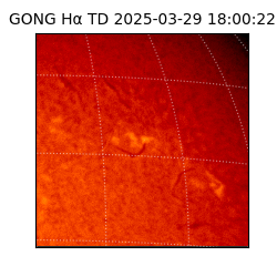 gong - 2025-03-29T18:00:22