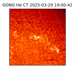 gong - 2025-03-29T19:00:42