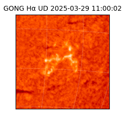 gong - 2025-03-29T11:00:02