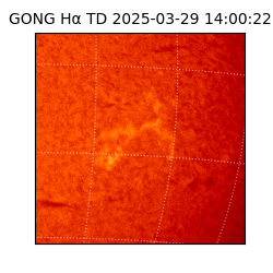 gong - 2025-03-29T14:00:22