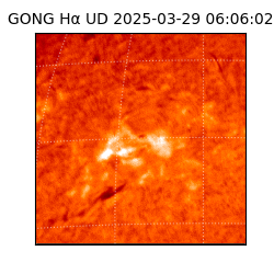 gong - 2025-03-29T06:06:02