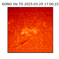 gong - 2025-03-29T17:00:22