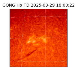 gong - 2025-03-29T18:00:22