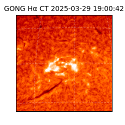 gong - 2025-03-29T19:00:42