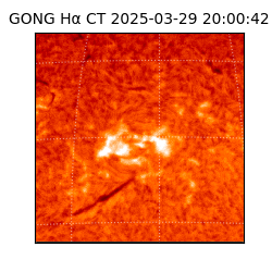 gong - 2025-03-29T20:00:42