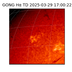 gong - 2025-03-29T17:00:22