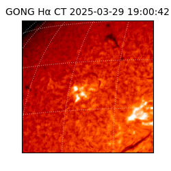 gong - 2025-03-29T19:00:42