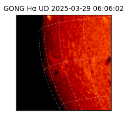 gong - 2025-03-29T06:06:02