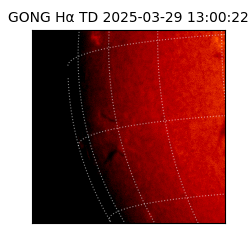 gong - 2025-03-29T13:00:22