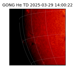 gong - 2025-03-29T14:00:22