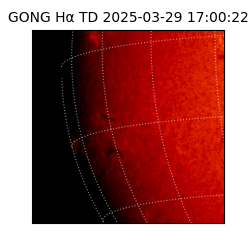 gong - 2025-03-29T17:00:22