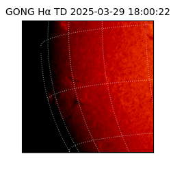 gong - 2025-03-29T18:00:22