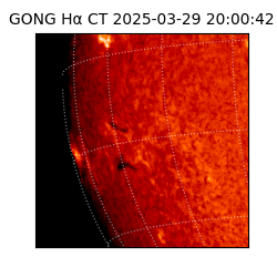 gong - 2025-03-29T20:00:42