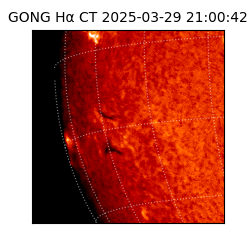 gong - 2025-03-29T21:00:42
