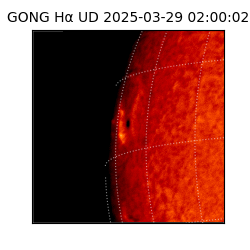 gong - 2025-03-29T02:00:02