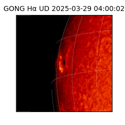 gong - 2025-03-29T04:00:02