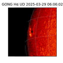 gong - 2025-03-29T06:06:02