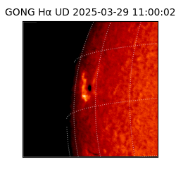 gong - 2025-03-29T11:00:02