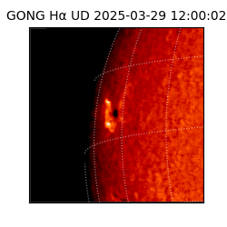 gong - 2025-03-29T12:00:02