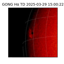 gong - 2025-03-29T15:00:22
