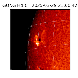 gong - 2025-03-29T21:00:42