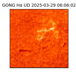 gong - 2025-03-29T06:06:02
