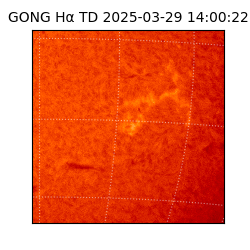 gong - 2025-03-29T14:00:22