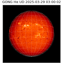 gong - 2025-03-29T03:00:02