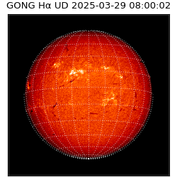 gong - 2025-03-29T08:00:02