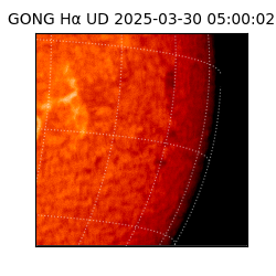gong - 2025-03-30T05:00:02