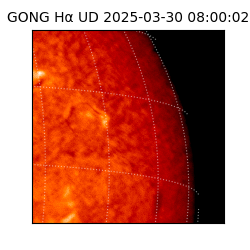 gong - 2025-03-30T08:00:02