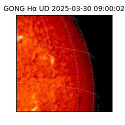 gong - 2025-03-30T09:00:02