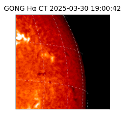 gong - 2025-03-30T19:00:42