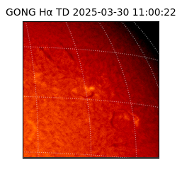 gong - 2025-03-30T11:00:22