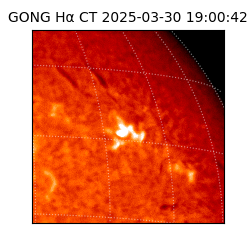 gong - 2025-03-30T19:00:42