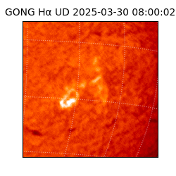 gong - 2025-03-30T08:00:02